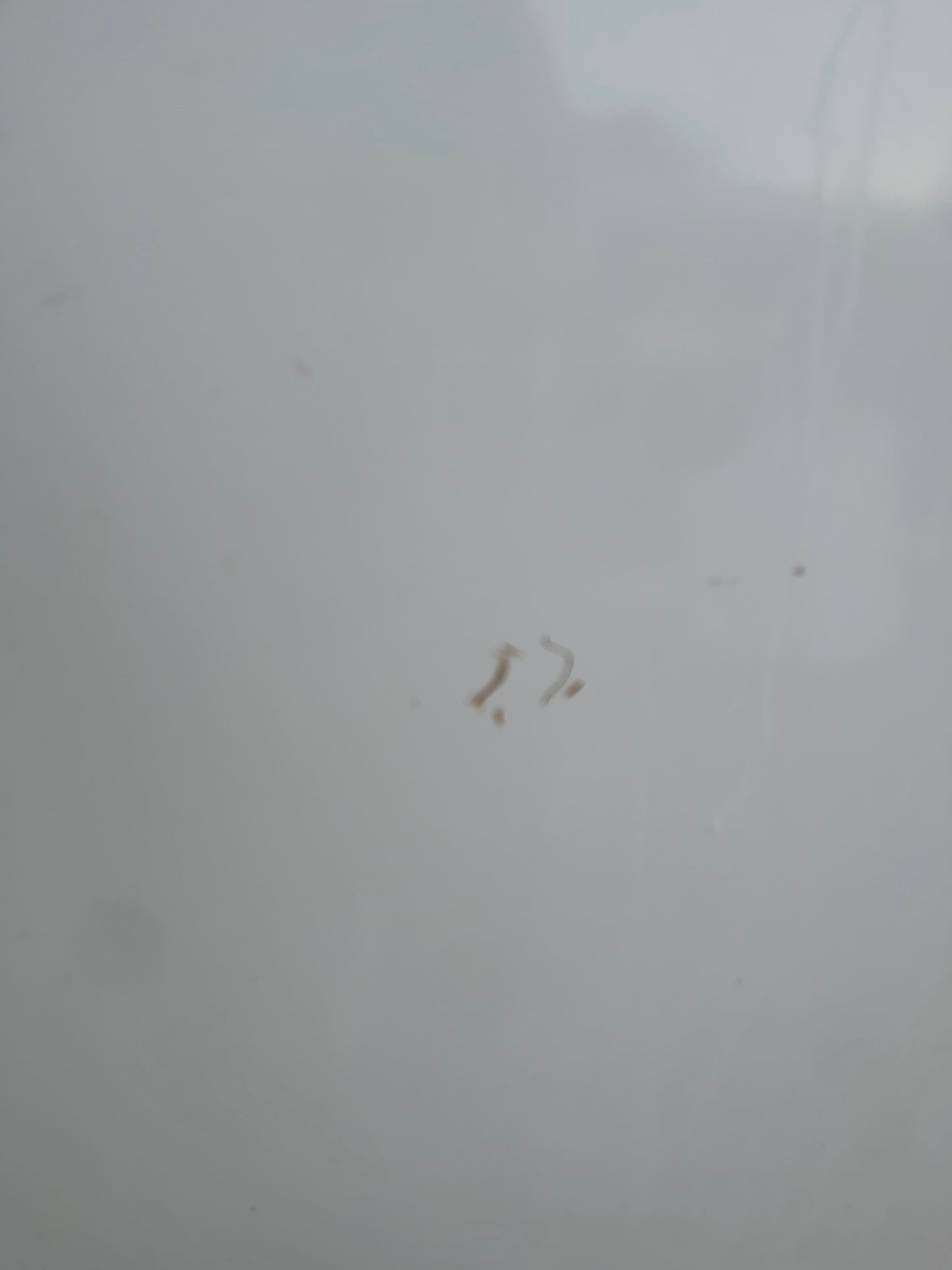 🧺 Maytag MVWX655DW1 Top-Load Washer