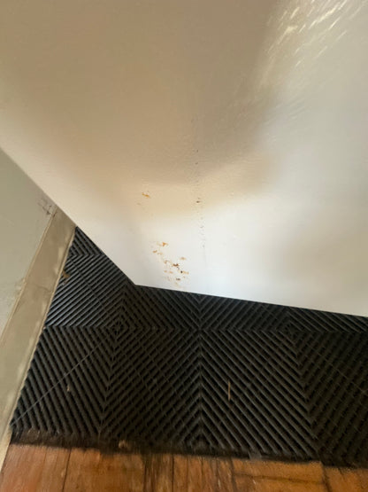 Electrolux FFU1464DW2 Upright Commercial Freezer 14cu ft